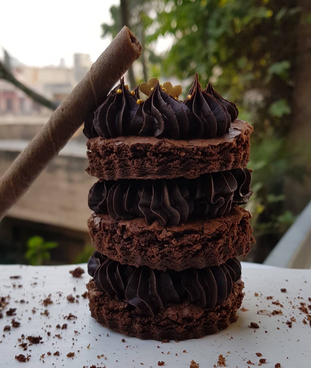 129896947_4118241298192226_4923026442442487616_n